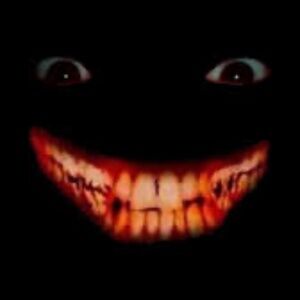 Meet your Posher, Lauren dragonwings